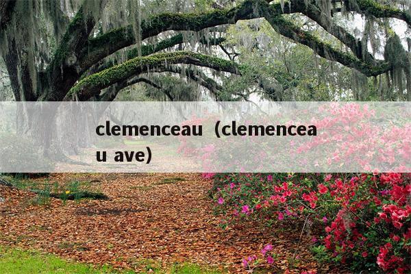 clemenceau（clemenceau ave）
